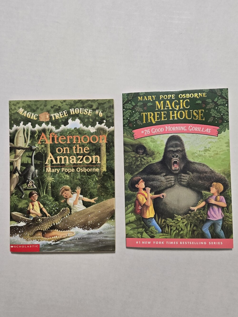 Magic Tree House Book Lot #6 and #26